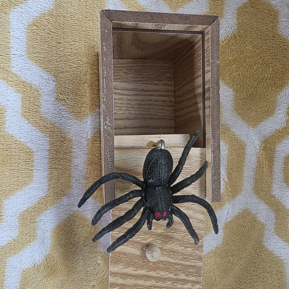 Black Spider Prank Box
